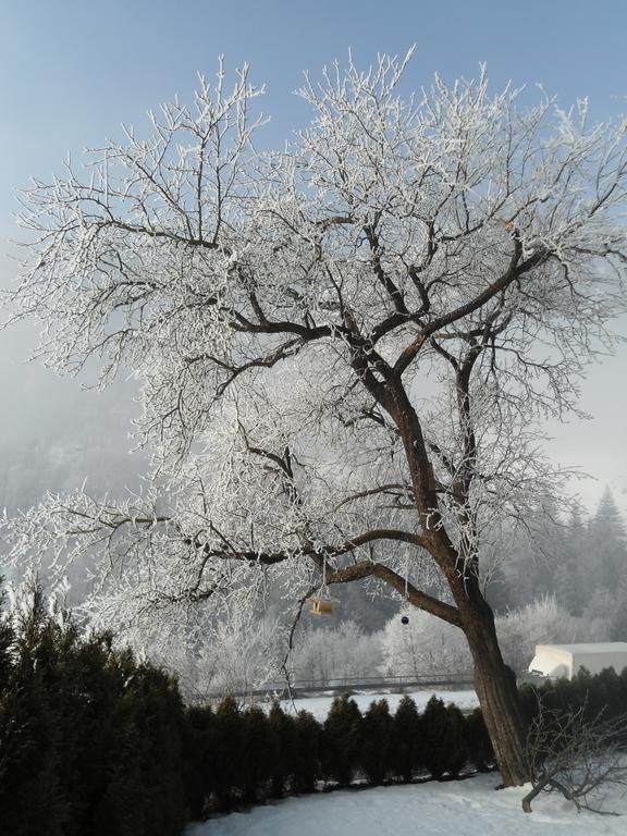 Hotel Gasthof Klammstein Dorfgastein Buitenkant foto